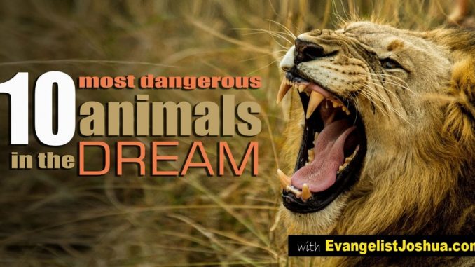  Soñar con animales que intentan matarte (Interpretación afortunada)