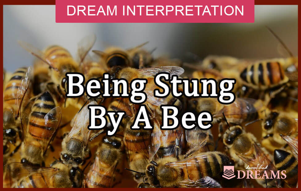  Soñar con picadura de abeja en la mano (Interpretación afortunada)