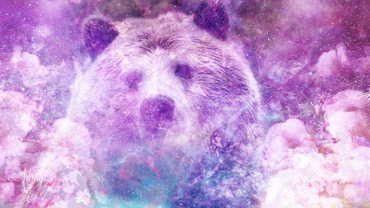  Drøm om brun bjørneunge (heldig fortolkning)