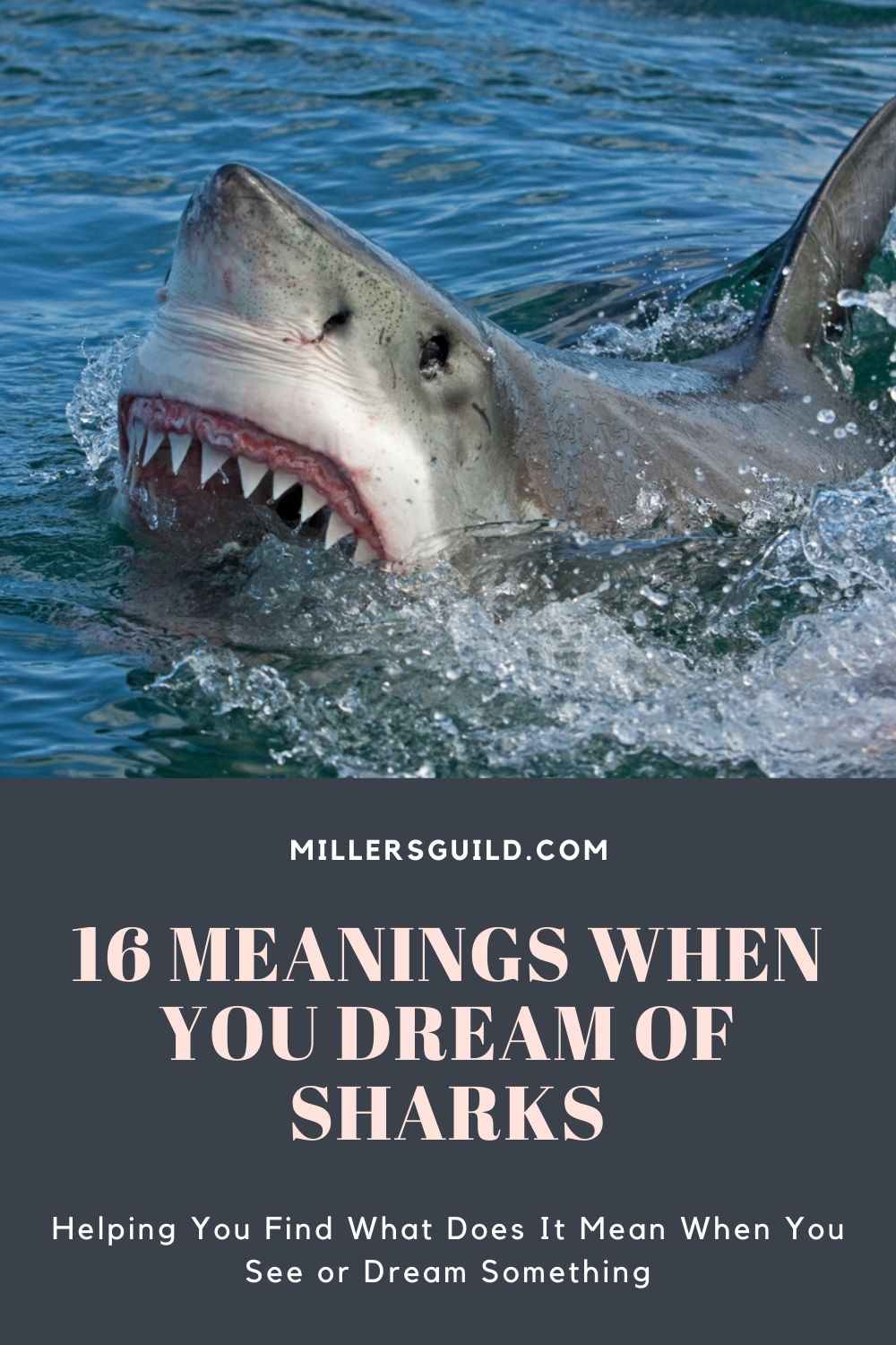  Drøm om hajer, der angriber andre (heldig fortolkning)