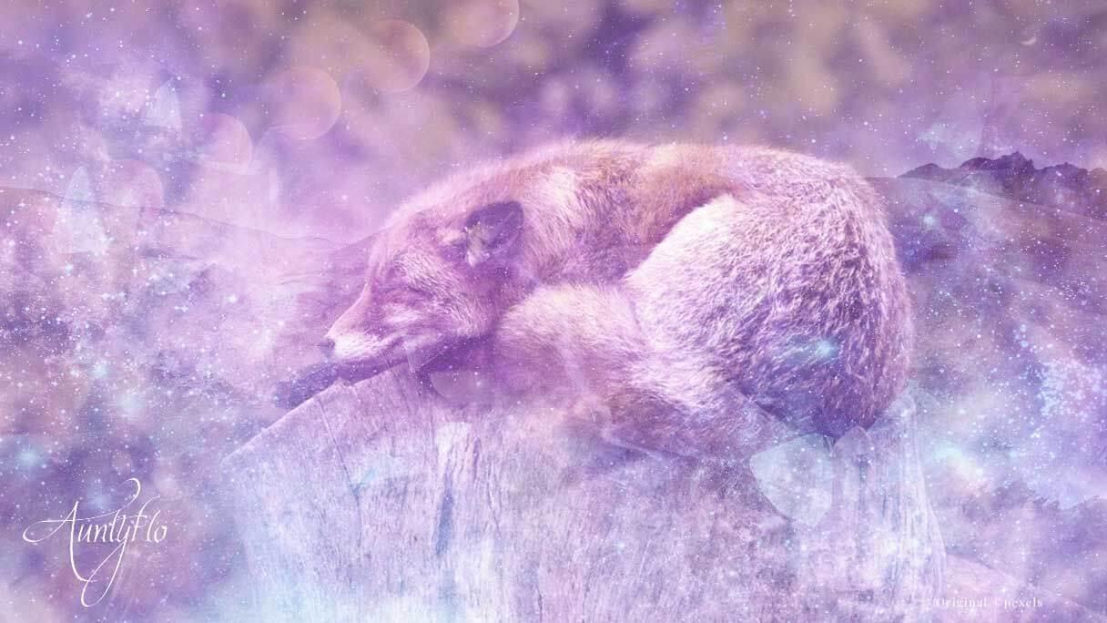  Soñar con zorro blanco (Interpretación afortunada)